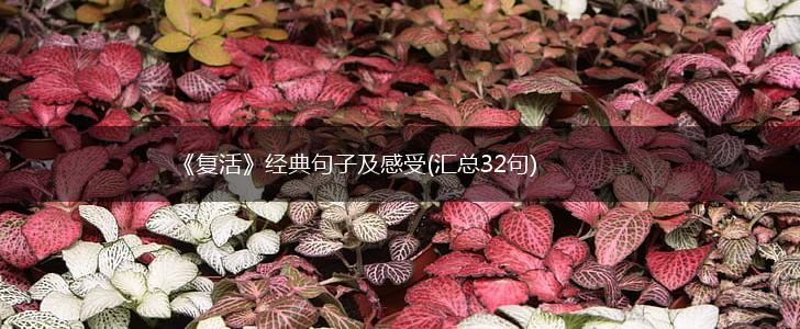 《复活》经典句子及感受(汇总32句),第1张