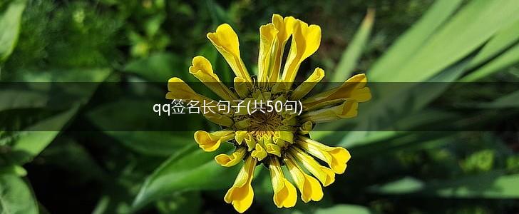 qq签名长句子(共50句),第1张