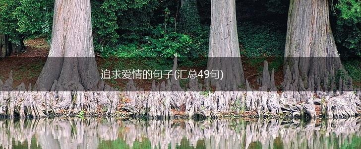 追求爱情的句子(汇总49句),第1张