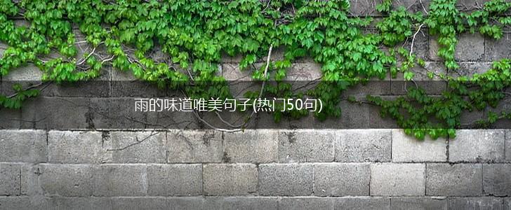 雨的味道唯美句子(热门50句),第1张