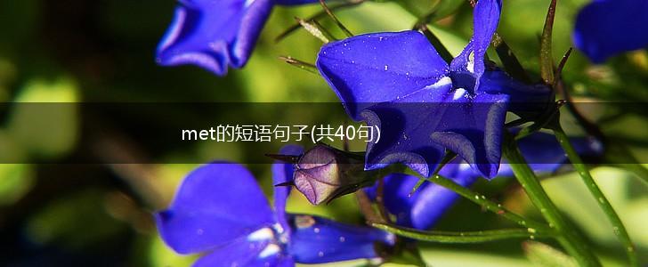 met的短语句子(共40句),第1张