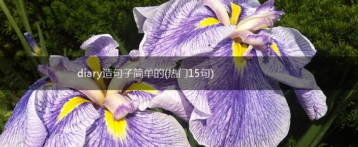 diary造句子简单的(热门15句),第1张