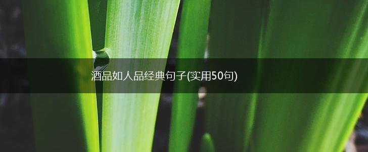 酒品如人品经典句子(实用50句),第1张