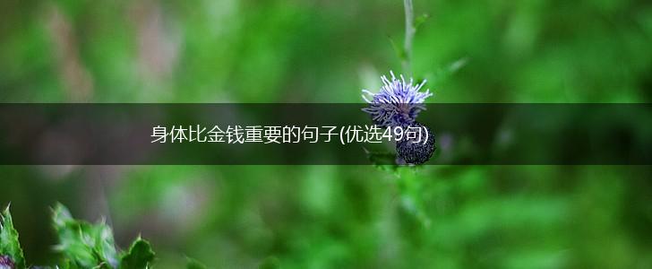 身体比金钱重要的句子(优选49句),第1张