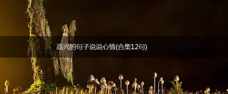高兴的句子说说心情(合集12句),第1张