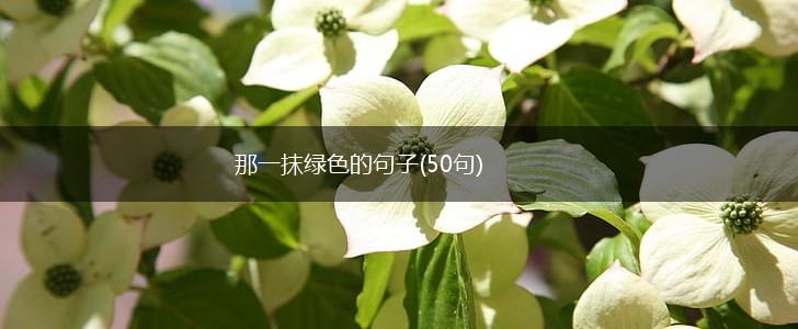 那一抹绿色的句子(50句),第1张