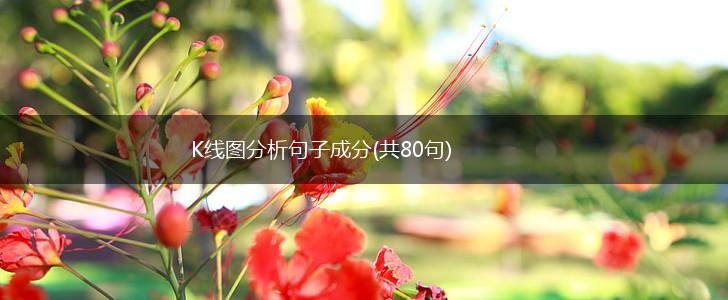 K线图分析句子成分(共80句),第1张