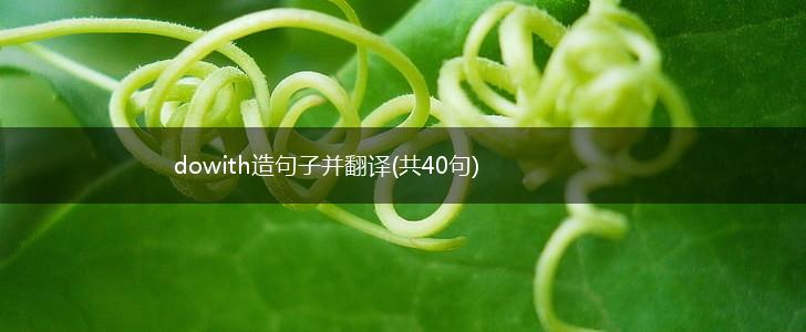 dowith造句子并翻译(共40句),第1张