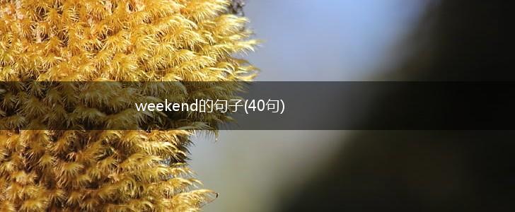 weekend的句子(40句),第1张