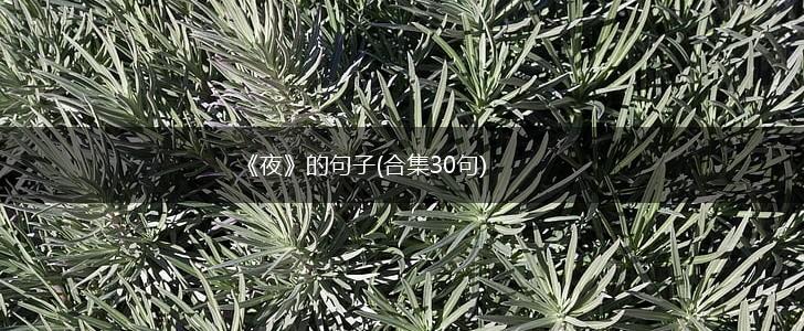 《夜》的句子(合集30句),第1张