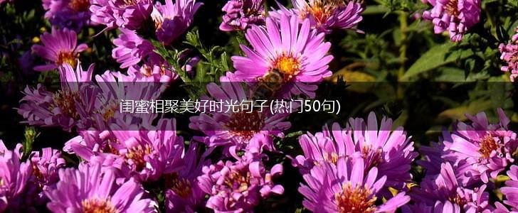 闺蜜相聚美好时光句子(热门50句),第1张
