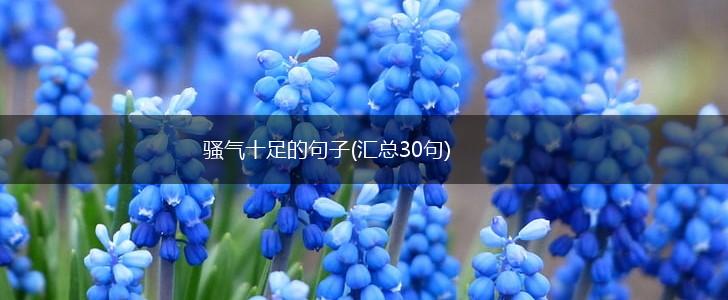 骚气十足的句子(汇总30句),第1张