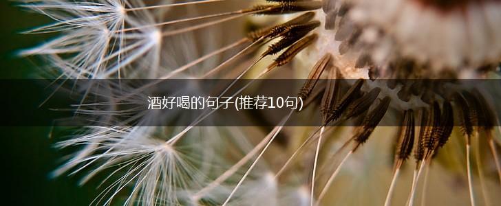 酒好喝的句子(推荐10句),第1张
