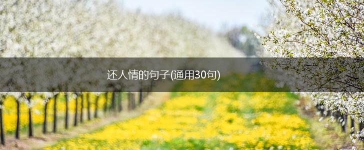还人情的句子(通用30句),第1张