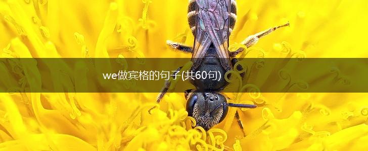 we做宾格的句子(共60句),第1张