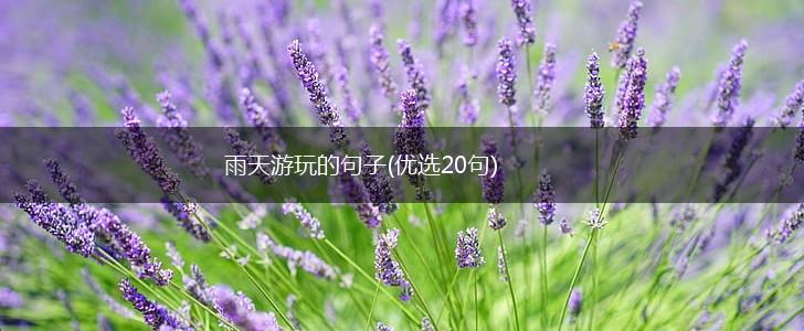 雨天游玩的句子(优选20句),第1张