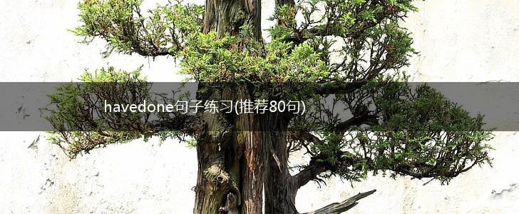 havedone句子练习(推荐80句),第1张
