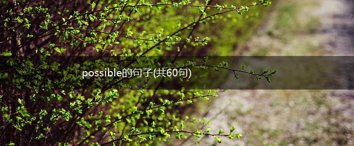 possible的句子(共60句),第1张
