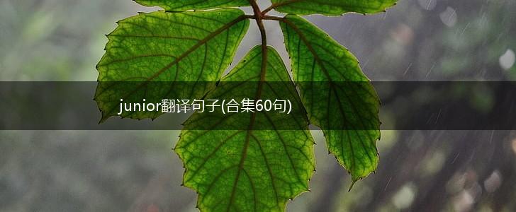junior翻译句子(合集60句),第1张