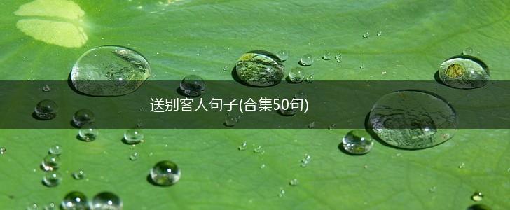 送别客人句子(合集50句),第1张