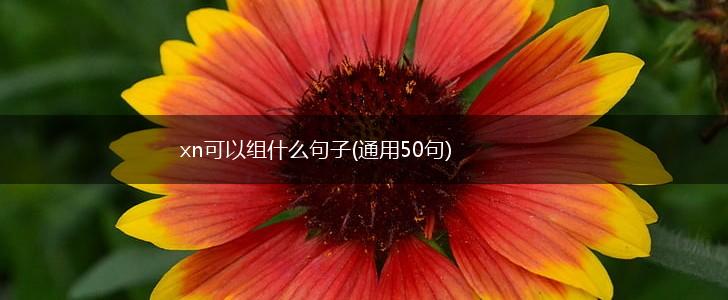 xn可以组什么句子(通用50句),第1张