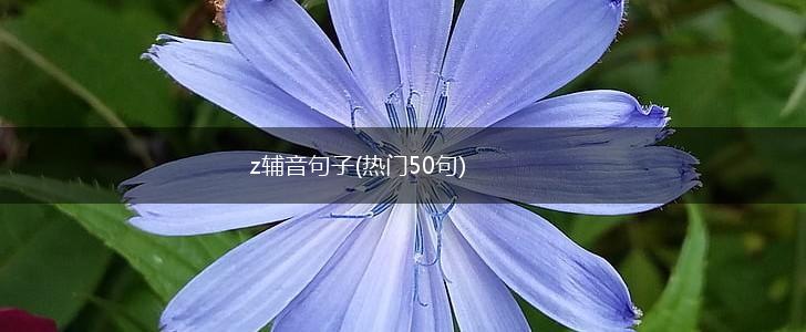 z辅音句子(热门50句),第1张