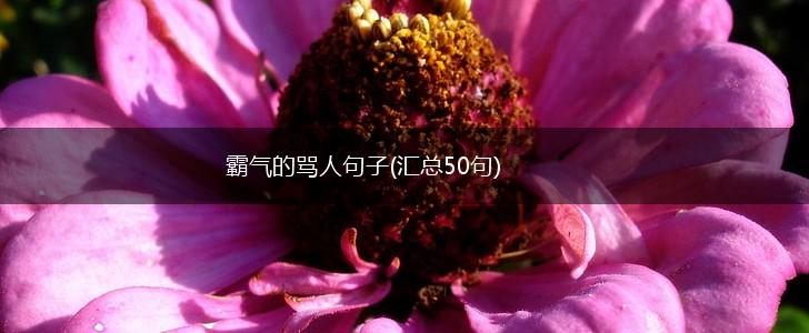 霸气的骂人句子(汇总50句),第1张