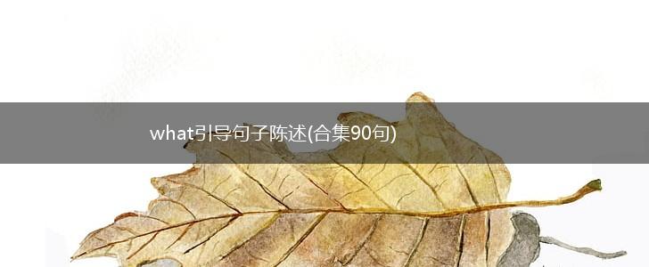 what引导句子陈述(合集90句),第1张