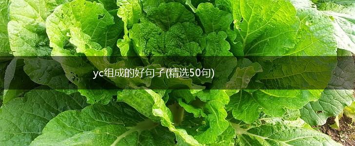 yc组成的好句子(精选50句),第1张