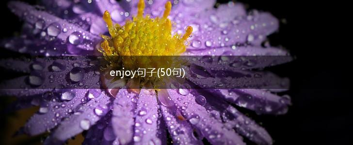 enjoy句子(50句),第1张