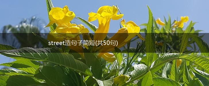 street造句子简短(共50句),第1张