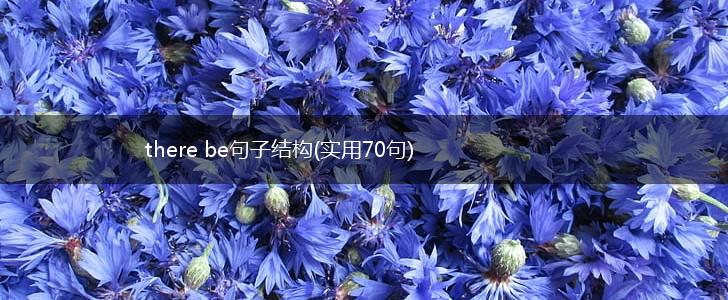there be句子结构(实用70句),第1张