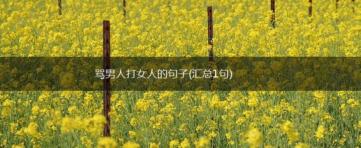 骂男人打女人的句子(汇总1句),第1张