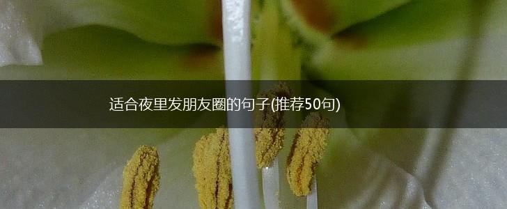 适合夜里发朋友圈的句子(推荐50句),第1张