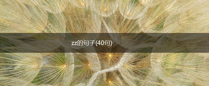 zz的句子(40句),第1张