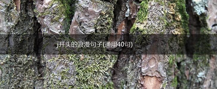 j开头的浪漫句子(通用40句),第1张