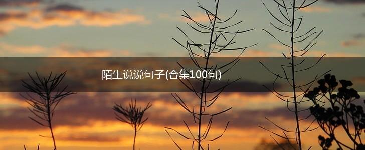 陌生说说句子(合集100句),第1张