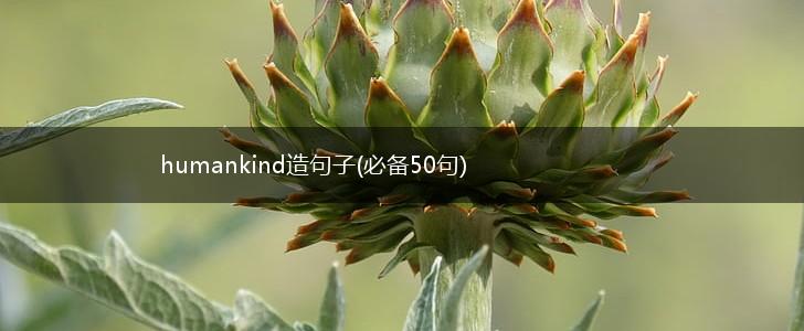 humankind造句子(必备50句),第1张