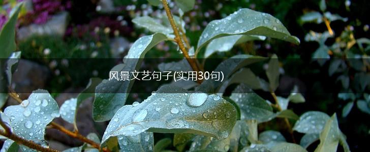 风景文艺句子(实用30句),第1张