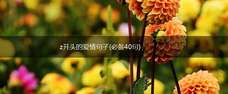 z开头的爱情句子(必备40句),第1张