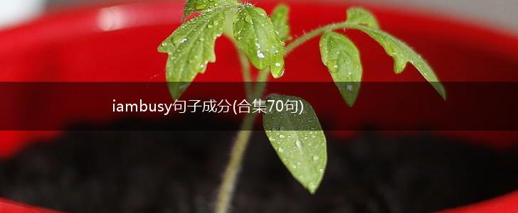 iambusy句子成分(合集70句),第1张