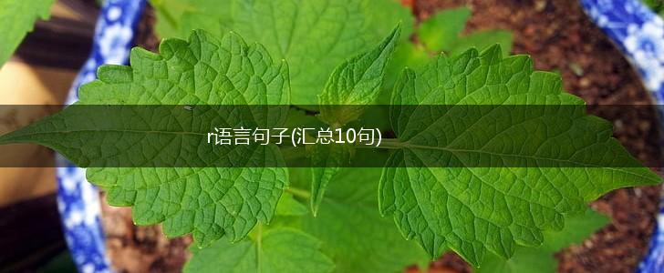 r语言句子(汇总10句),第1张