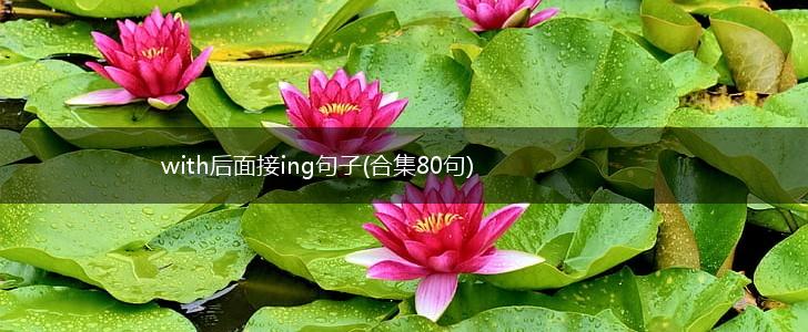 with后面接ing句子(合集80句),第1张