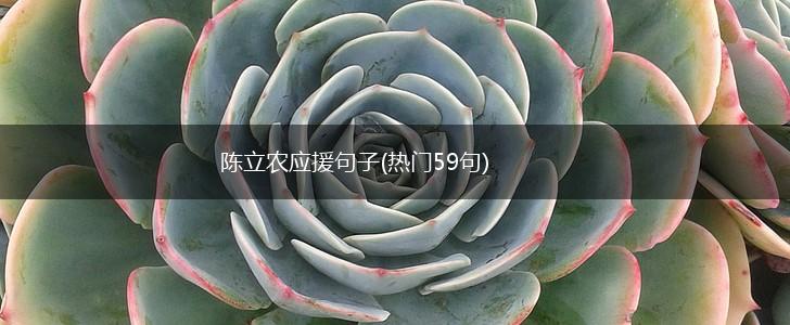 陈立农应援句子(热门59句),第1张