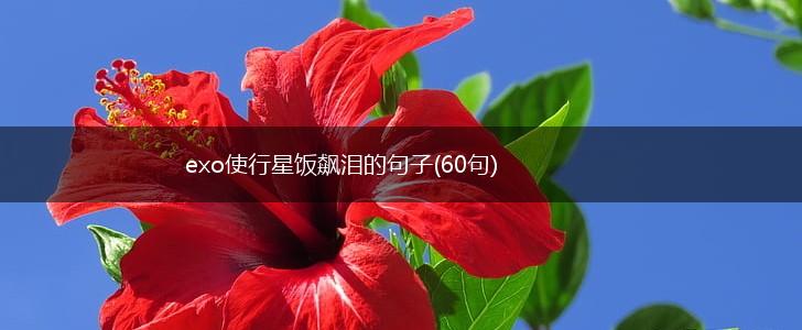 exo使行星饭飙泪的句子(60句),第1张