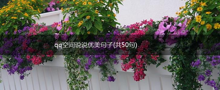 qq空间说说优美句子(共50句),第1张