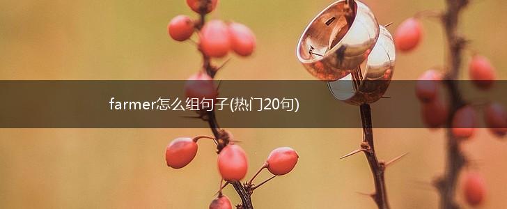 farmer怎么组句子(热门20句),第1张
