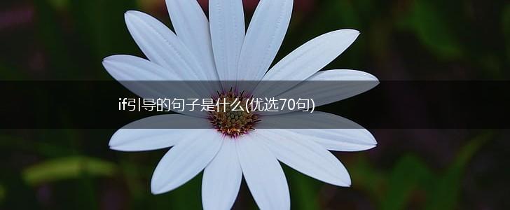 if引导的句子是什么(优选70句),第1张