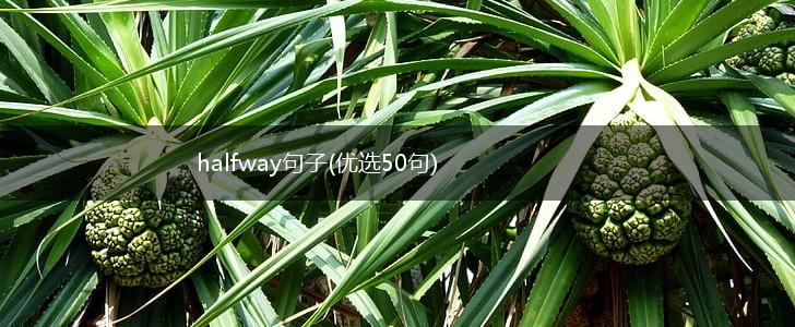 halfway句子(优选50句),第1张