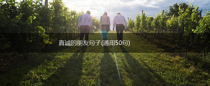 真诚的朋友句子(通用50句),第1张